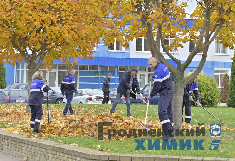 4566768798090 (12).jpg